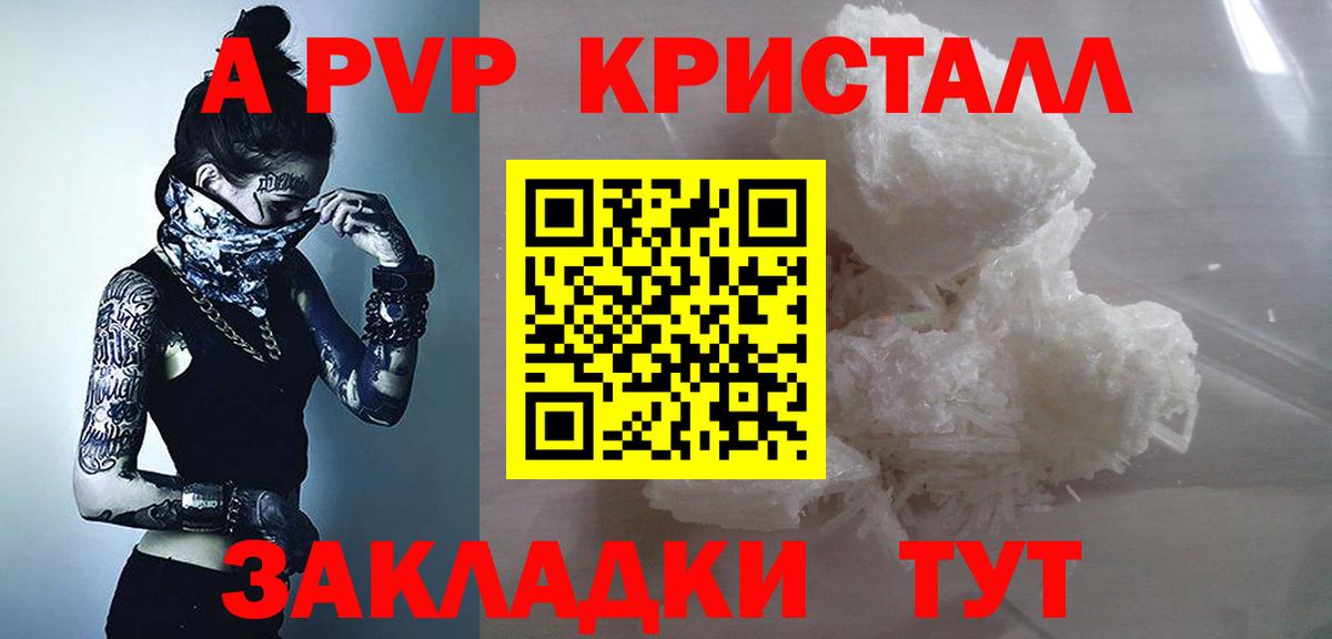 А ПВП крисы CK  Alfa_PVP  Вход с VPN  Гусев  А ПВП СК 