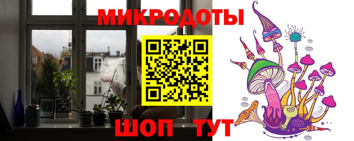 Гусев  Галлюциногенные грибы MAGIC MUSHROOMS  Вход с VPN 