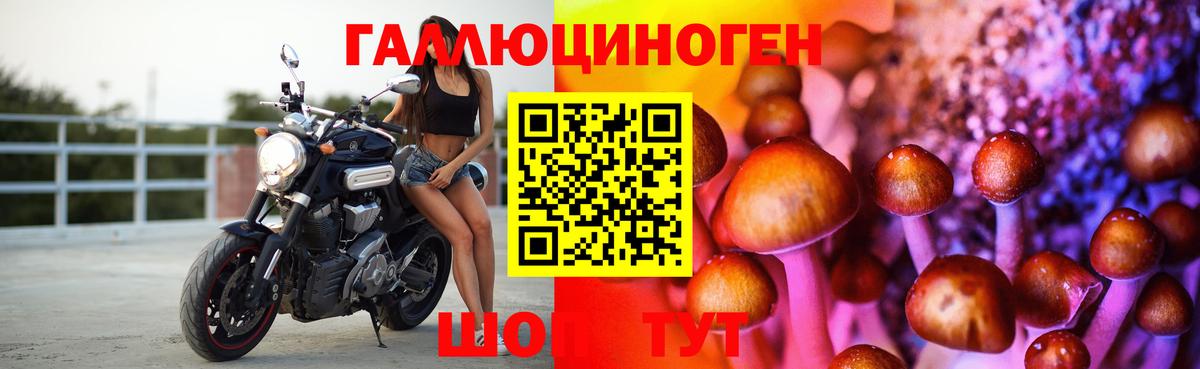 Галлюциногенные грибы прущие грибы Гусев